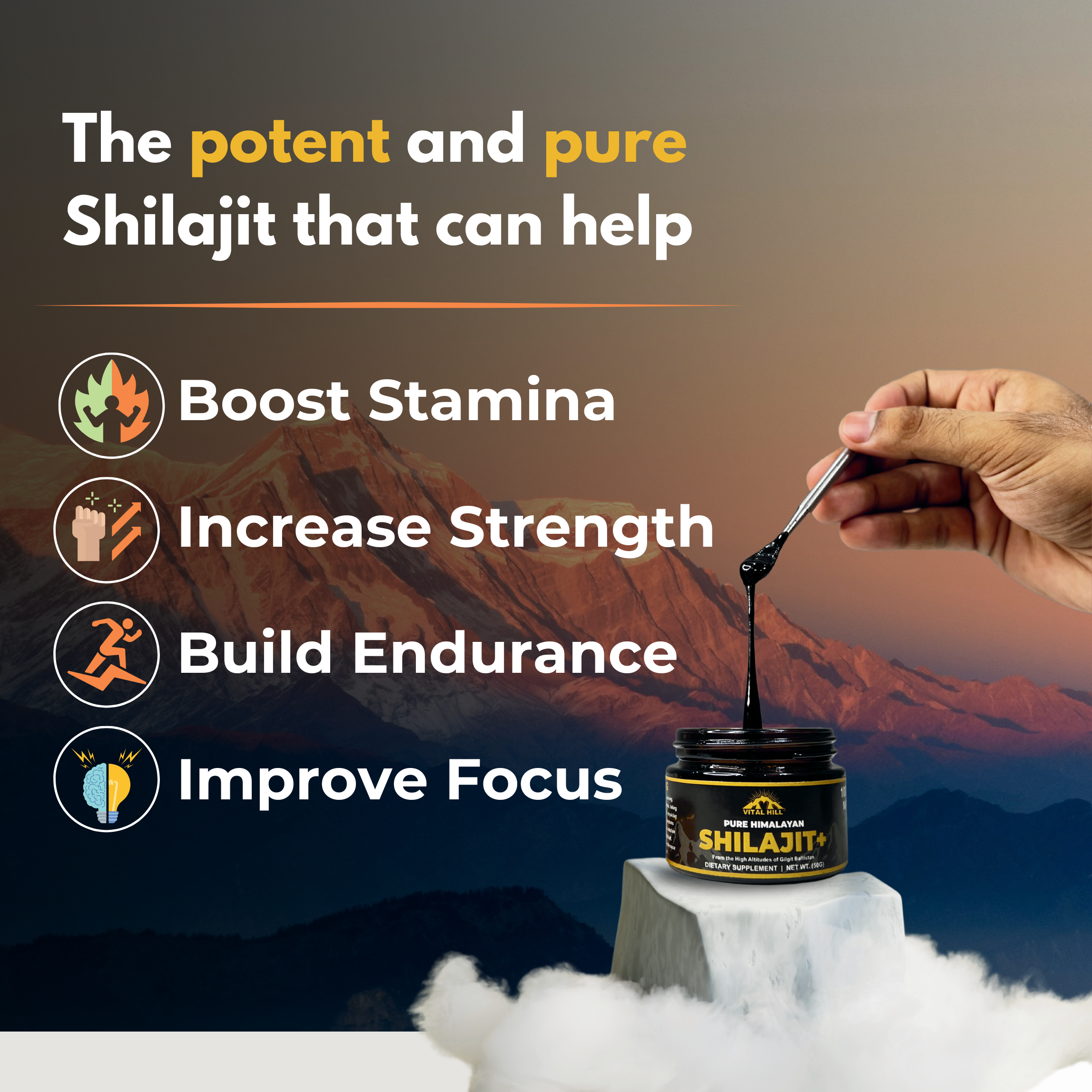 Vital Hill Pure Himalayan Shilajit