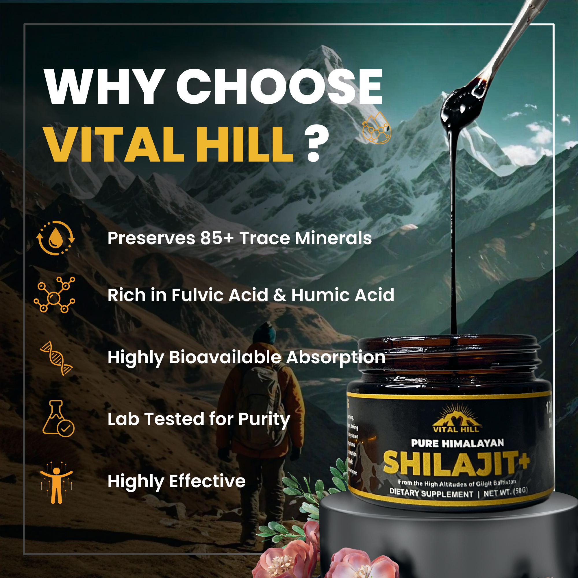 Vital Hill Pure Himalayan Shilajit